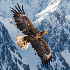 Obraz premium Eagle Powerfully Soaring in the Mountains - Cliffs and Majesty