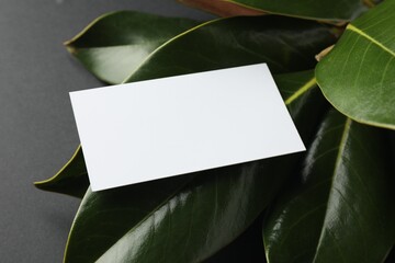 Blank business card and magnolia branch on black background, closeup. Mockup for design