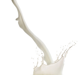 Fresh milk pouring and splashing on white background
