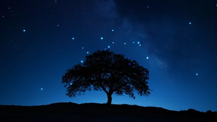 Fototapeten A Tree’s Silhouette Against the Starry Night Sky © 대연 김