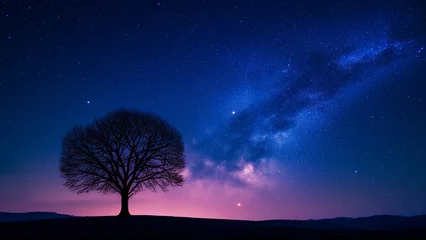 Fototapeten A Tree’s Silhouette Against the Starry Night Sky © 대연 김
