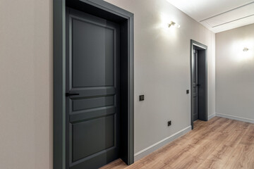 Black interior door in a new private house