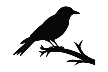 Bird Tree Silhouette Vector Images