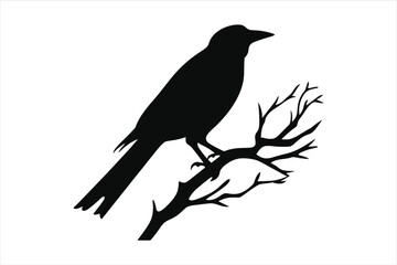 Bird Tree Silhouette Vector Images
