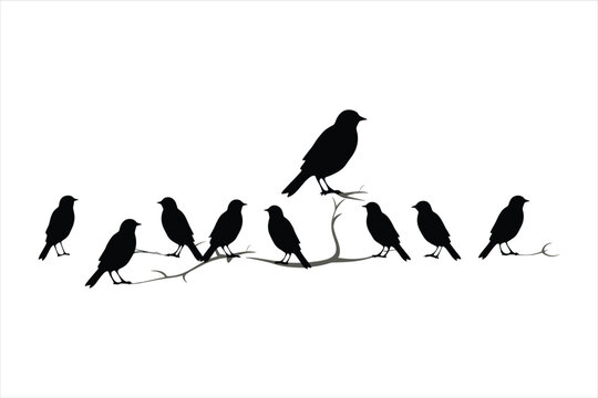 Bird Tree Silhouette Vector Images