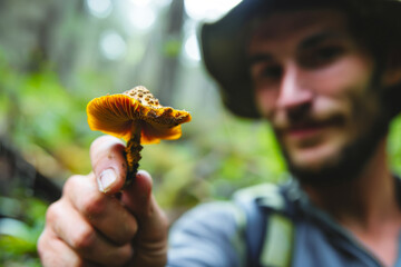 Mushrooms in the hands of a man. Background with selective focus and copy space