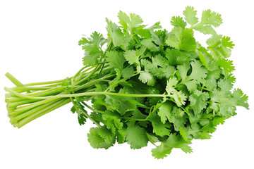 Isolated bunch of fresh parsley on a white background, perfect for adding a burst of green freshness to your cooking and salads