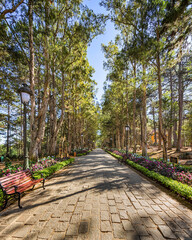 Dinh vua Bao Dai 1 or Bao Dai Summer Palace or Bao Dai's Palace - King's Palace 1 (Dinh 1), Da Lat, Vietnam