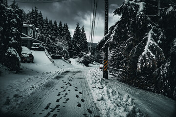 Obraz premium Black and White Vancouver Canada