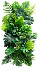 Top view bouquet of tropical leaves PNG