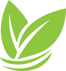 leaf logo of vector image