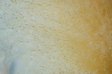 Abstract Textured Background Perfect for Design Projects