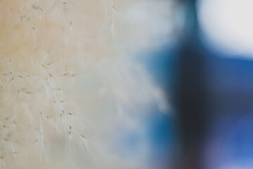 Abstract Textured Background Perfect for Design Projects