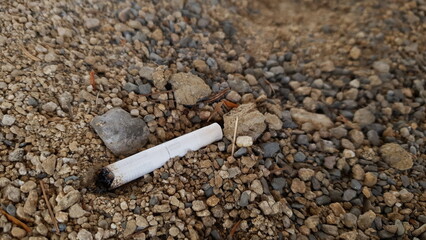 불법적으로 버려져 오랫동안 방치된 '담배 꽁초'.
&lsquo;Cigarette butts&rsquo; that have been illegally discarded and left unattended for a long time.