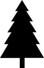 Fototapeta premium Pine, Christmas Tree