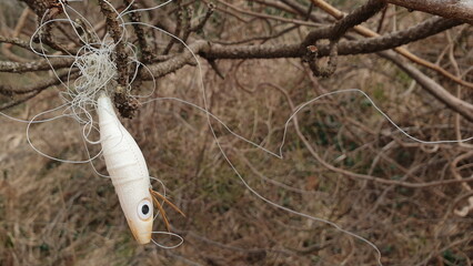 나뭇가지에 얽히고설킨 낚시용품.
Fishing gear tangled in tree branches.