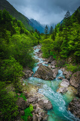 Famous Soca river in the fresh green forest, Bovec, Slovenia