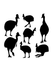 Cassowary bird silhouettes