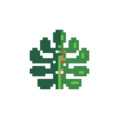 Obraz premium Leaf monstera pixel art icon, green plant logo. Isolated vector illustration. Game assets 8-bit sprite. Design for stickers, web, mobile app. 