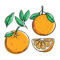 doodle orange fruit on white background
