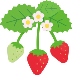 シンプルでかわいいイチゴの葉と花のイラスト（フラットデザイン）