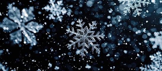 Real falling snowflakes, black background, wide angle animation for digital composition.