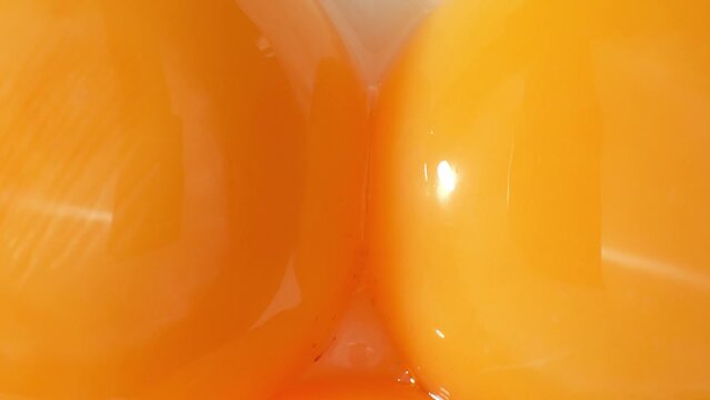 Discover the hidden beauty within a simple egg yolk in this macro footage. Observe its organic patterns and the way it captures the essence of life, a captivating marvel of nature's design.

