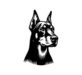 Doberman hand drawn illustration vector graphic asset