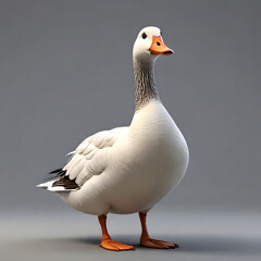 Minimalist Goose 