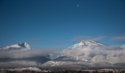 Rustic Roots Photography