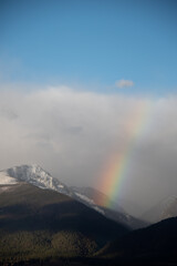 Rustic Roots Photography