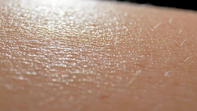 In this captivating macro video, witness the arm's skin as a breathtaking landscape, with valleys of wrinkles and mountains of follicles. 4K.
