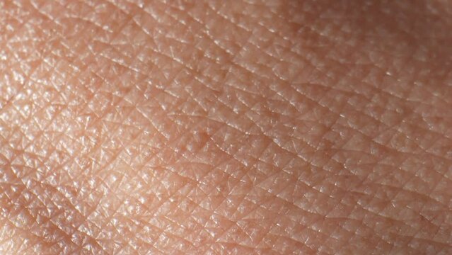 Dive into the mesmerizing world of arm surface skin, where tiny ridges and creases create a mesmerizing symphony of lines and shapes. 4K.
