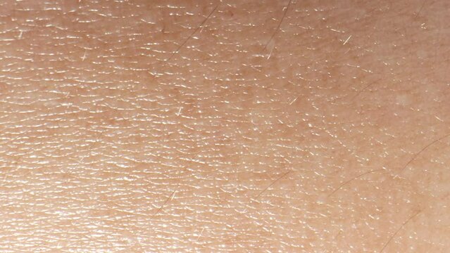 Zooming in, the arm skin resembles a mesmerizing landscape of tiny hills and valleys under the microscope. 4K.
