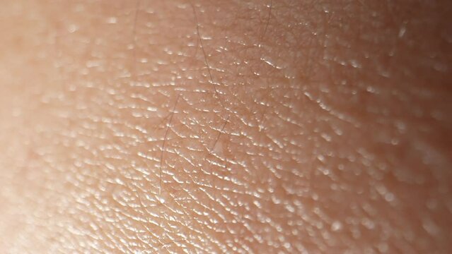Watch as the arm's skin dances in a mesmerizing ballet of textures, revealing hidden patterns and delicate pores. 4K.
