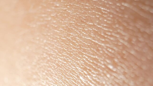 Zooming in on arm skin, witness a world of textures, from fine wrinkles to tiny follicles, in mesmerizing macro detail. 4K.
