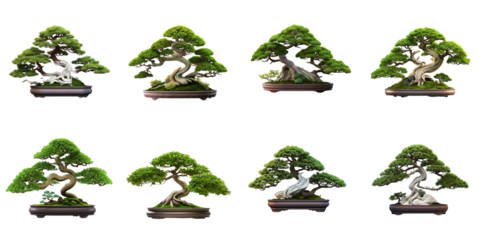 set collection bonsai Artificial Intelligence Generative