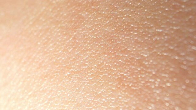 Explore the arm's skin surface in astonishing detail through macro video, revealing the epidermal layers, sweat glands, and hair follicles. 4K.
