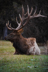Rustic Roots Photography