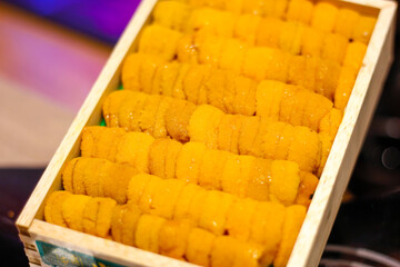 Close up raw roe sea urchin, Uni sushi or sashimi ingredients, Japanese style