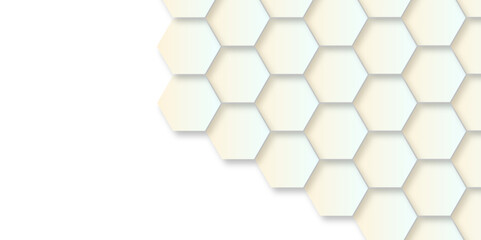 Abstract background with gray hexagons and seamless pattern in vector design . luxury gray pattern geometric mesh cell texture .hexagon 3d background texture design .