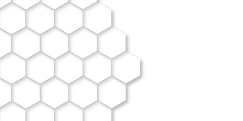 Abstract background with white hexagons and seamless pattern in vector design . luxury white pattern geometric mesh cell texture .hexagon 3d background texture design .