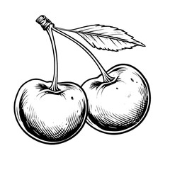 Cherry Black and White Clipart vector svg 