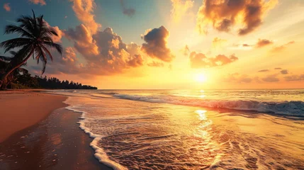 Photo sur Plexiglas Destinations beach and palm on sea with nice sky background