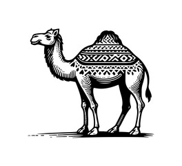 Camel hand drawn illustration vector graphic asset