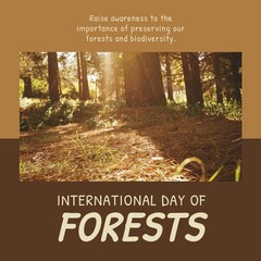 Naklejka premium Composition of international day of forests text over forest on brown background