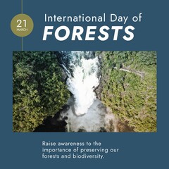 Obraz premium Composition of international day of forests text over forest on blue background
