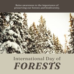 Naklejka premium Composition of international day of forests text over forest on brown background
