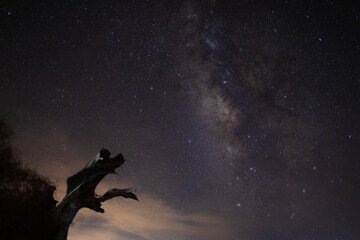 Obraz na płótnie Canvas Milky Way in Morocco 