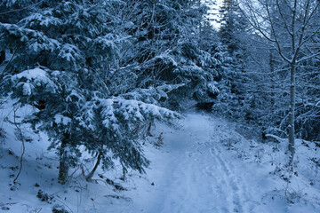Winter in den Vogesen am Col d'Urbeis